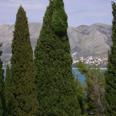 Villa Anka Cavtat Buitenkant foto