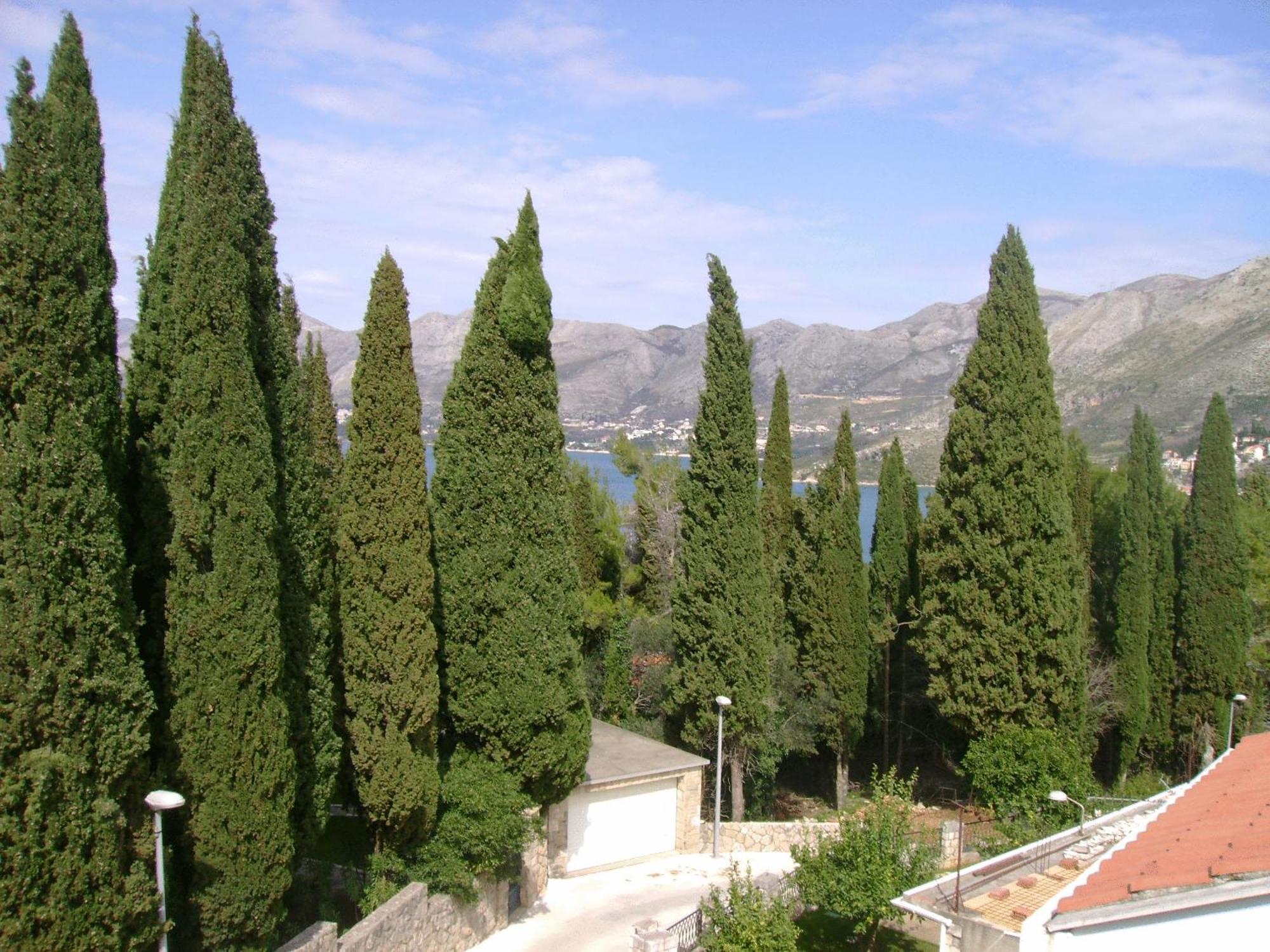 Villa Anka Cavtat Buitenkant foto